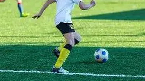 易倍体育 产品 012938 65p