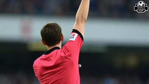 易倍体育 产品 083009 61c